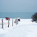 Winterimpressionen Ostsee
