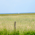 Winterimpressionen Ostsee